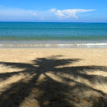 Thailand 2017 453