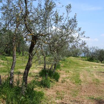 P5041041