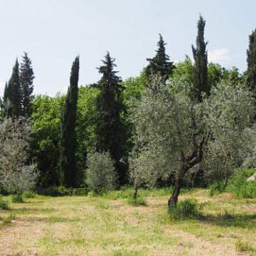 P5041042