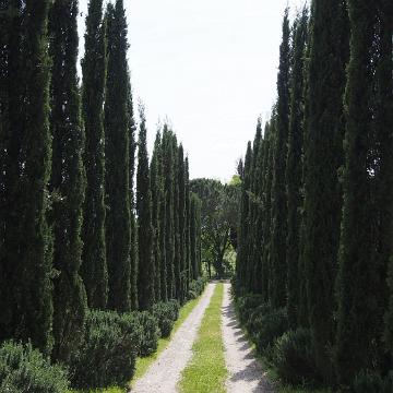 P5041048