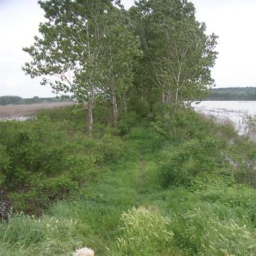 P5070979