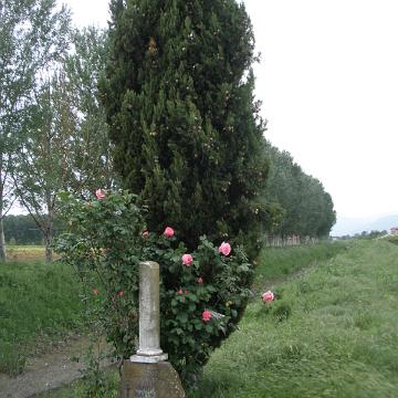 P5070983
