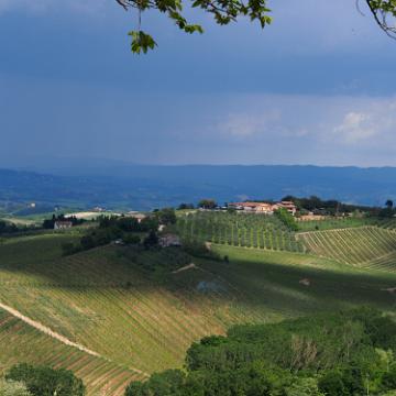 P5081321