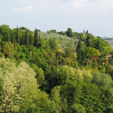 P5081329