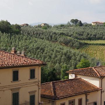 P5081334