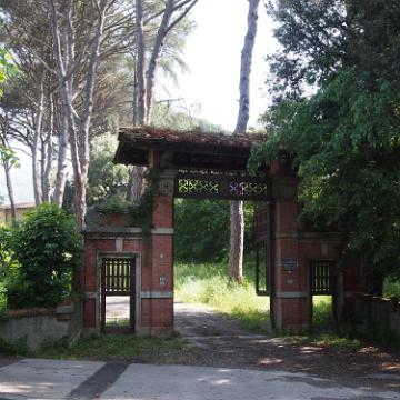 P5091346