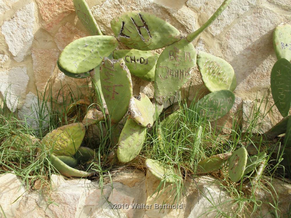 Tunesien 2010 Strand 27