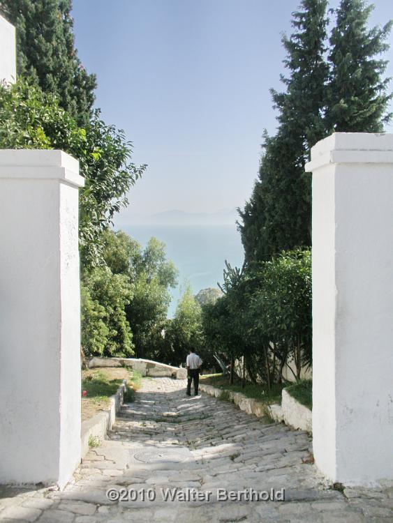 Sidi Bou Said 29