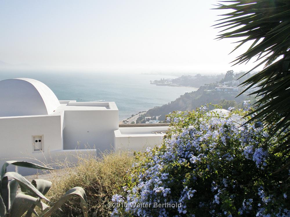 Sidi Bou Said 41