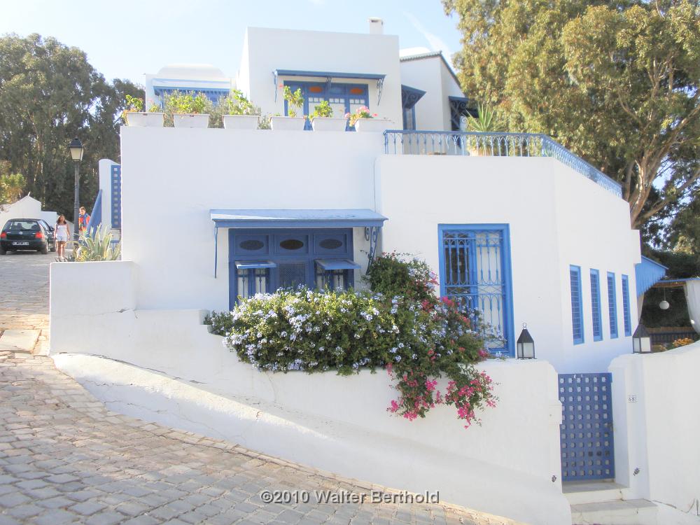 Sidi Bou Said 50
