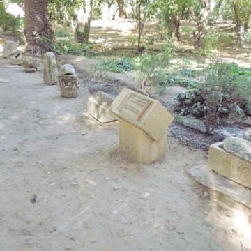 Karthago 25