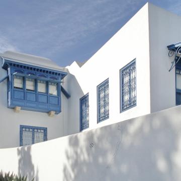 Sidi Bou Said 49