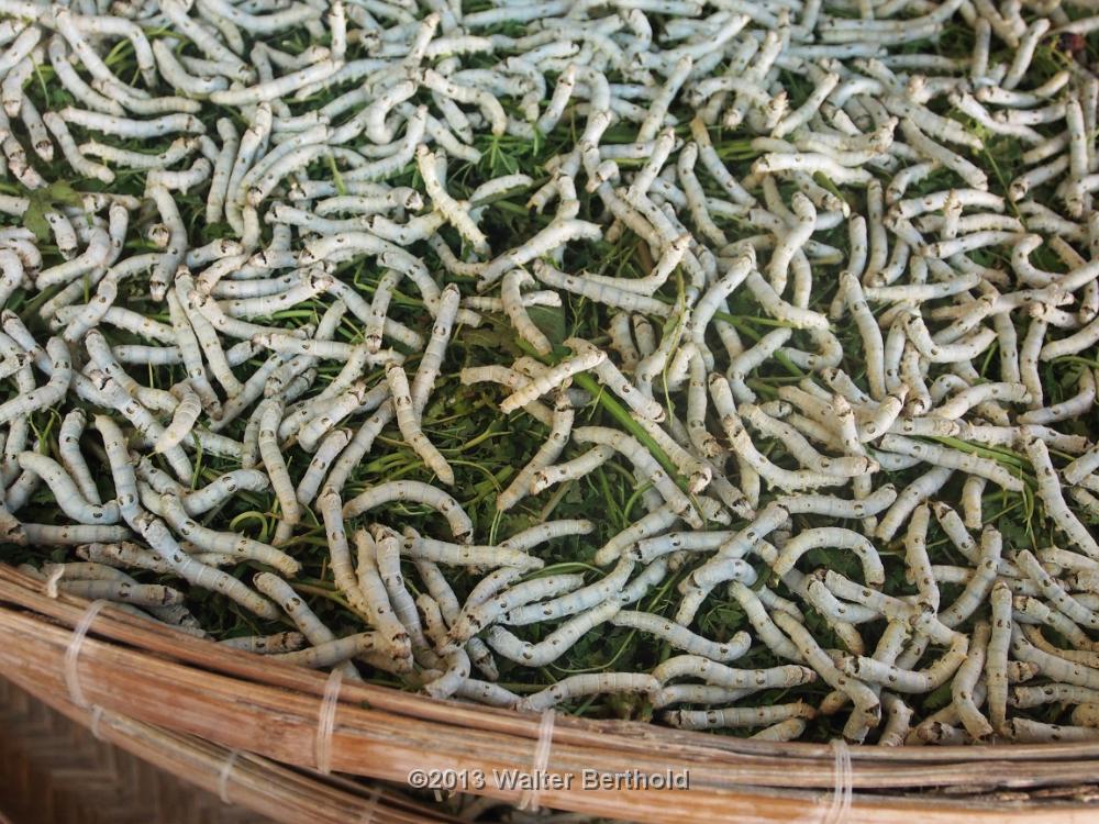 Vietnam 2013 0105