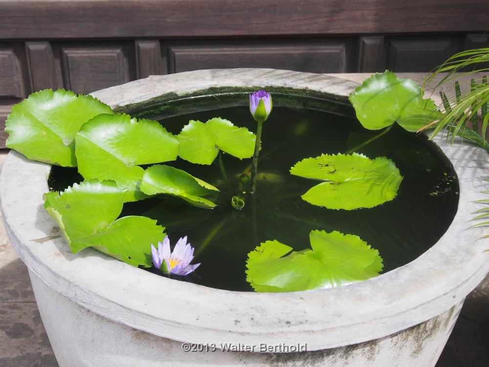 Vietnam 2013 0121