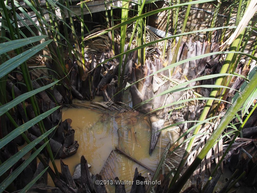 Vietnam 2013 0239