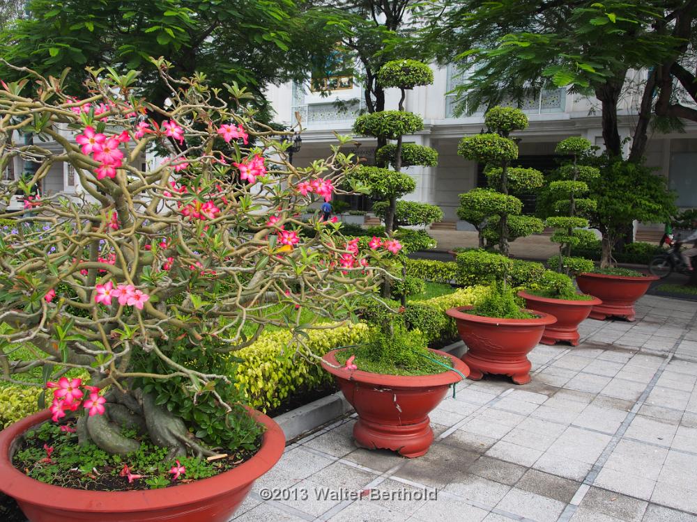 Vietnam 2013 0281