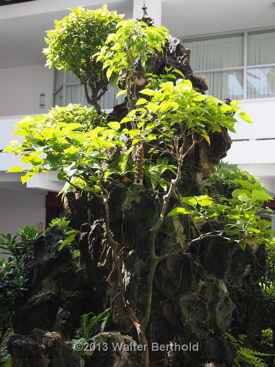 Vietnam 2013 0330