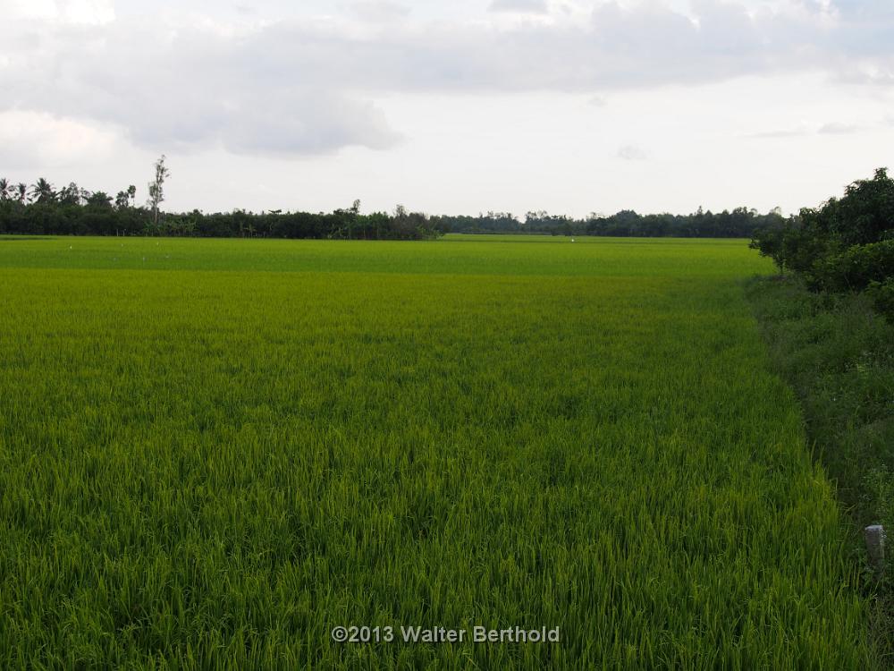 Vietnam 2013 0524