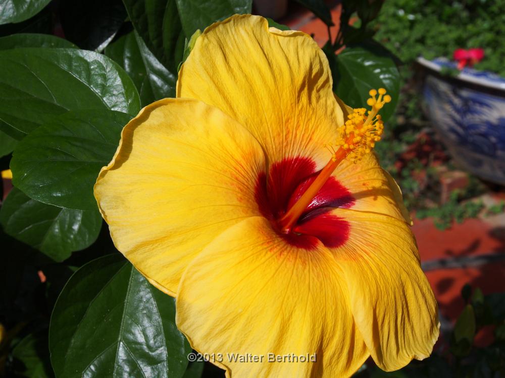 Vietnam 2013 0591