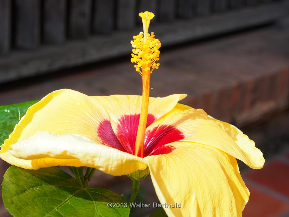 Vietnam 2013 0592