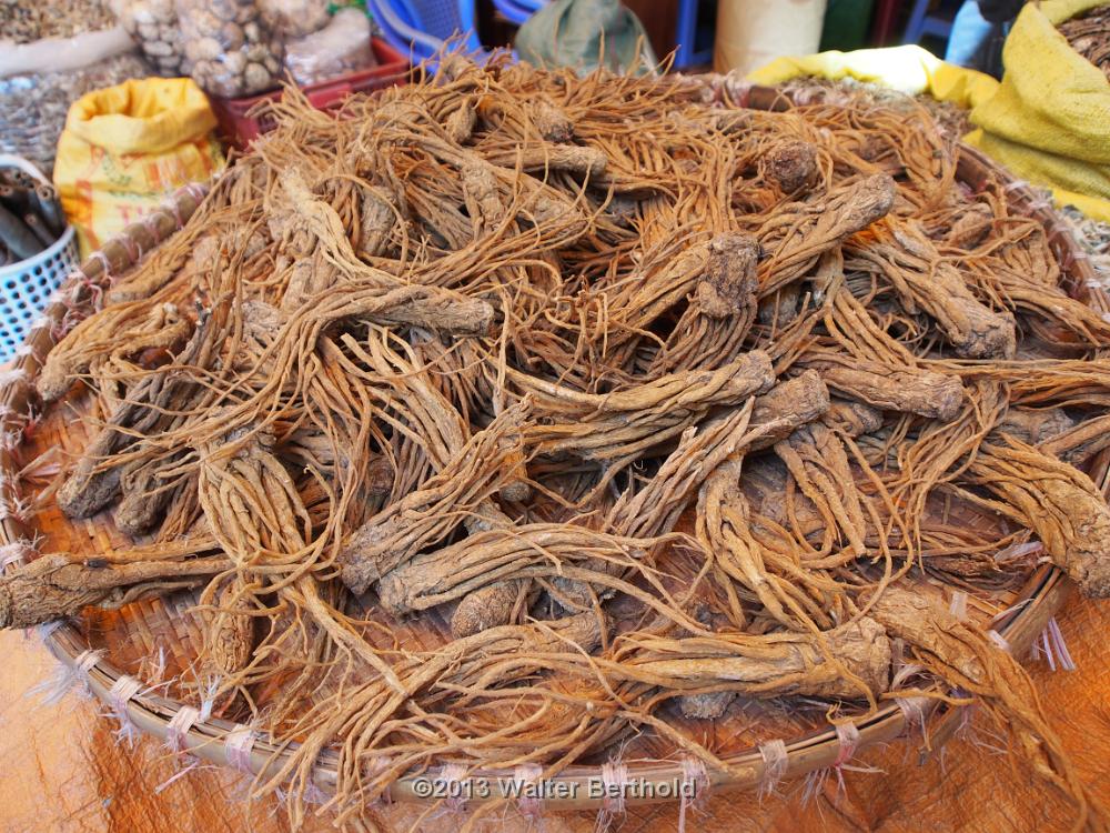 Vietnam 2013 0668