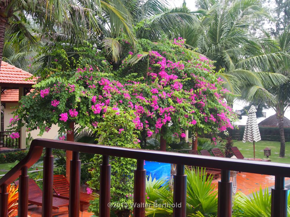 Vietnam 2013 0725