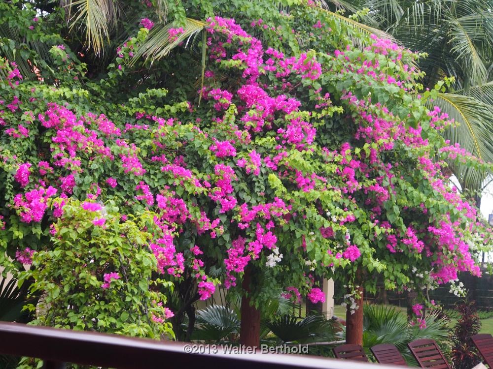 Vietnam 2013 0726