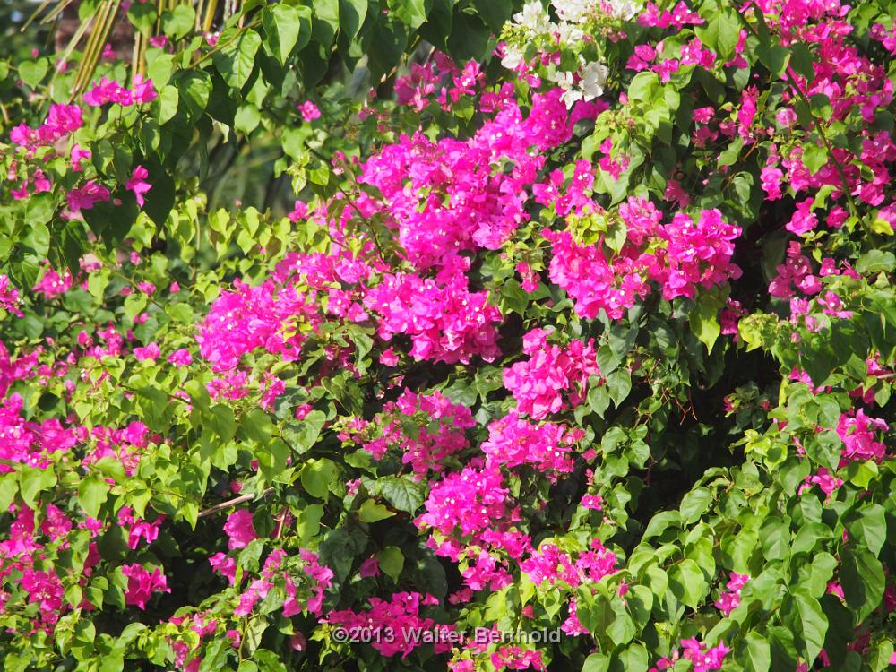 Vietnam 2013 0779