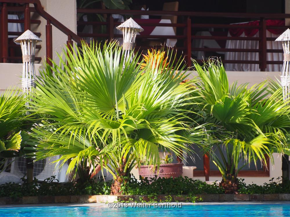 Vietnam 2013 0780