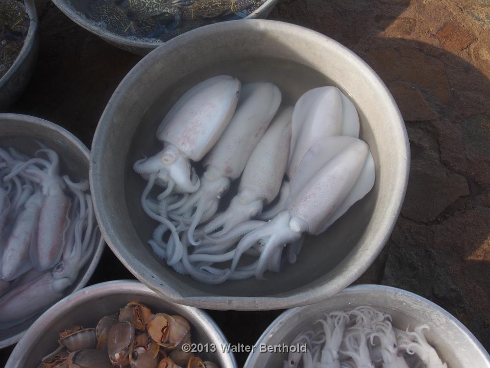 Vietnam 2013 0793