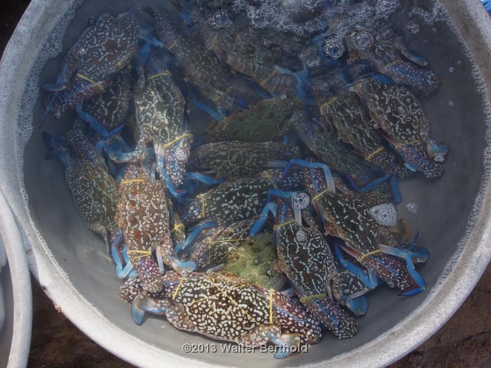 Vietnam 2013 0794