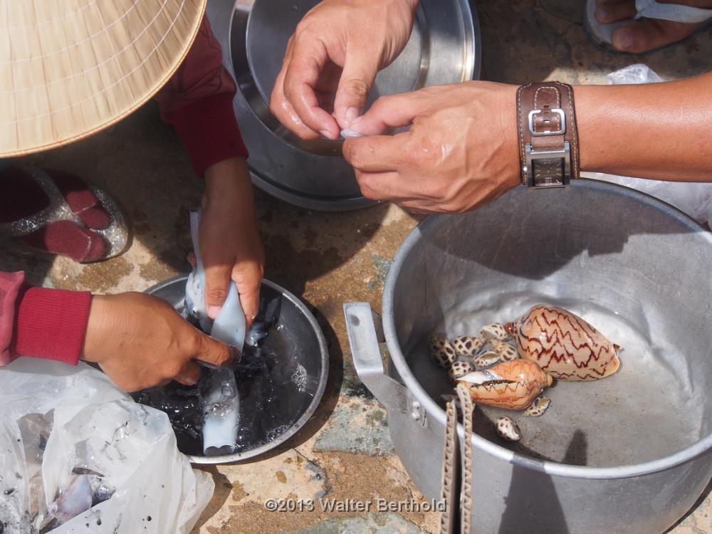 Vietnam 2013 0837