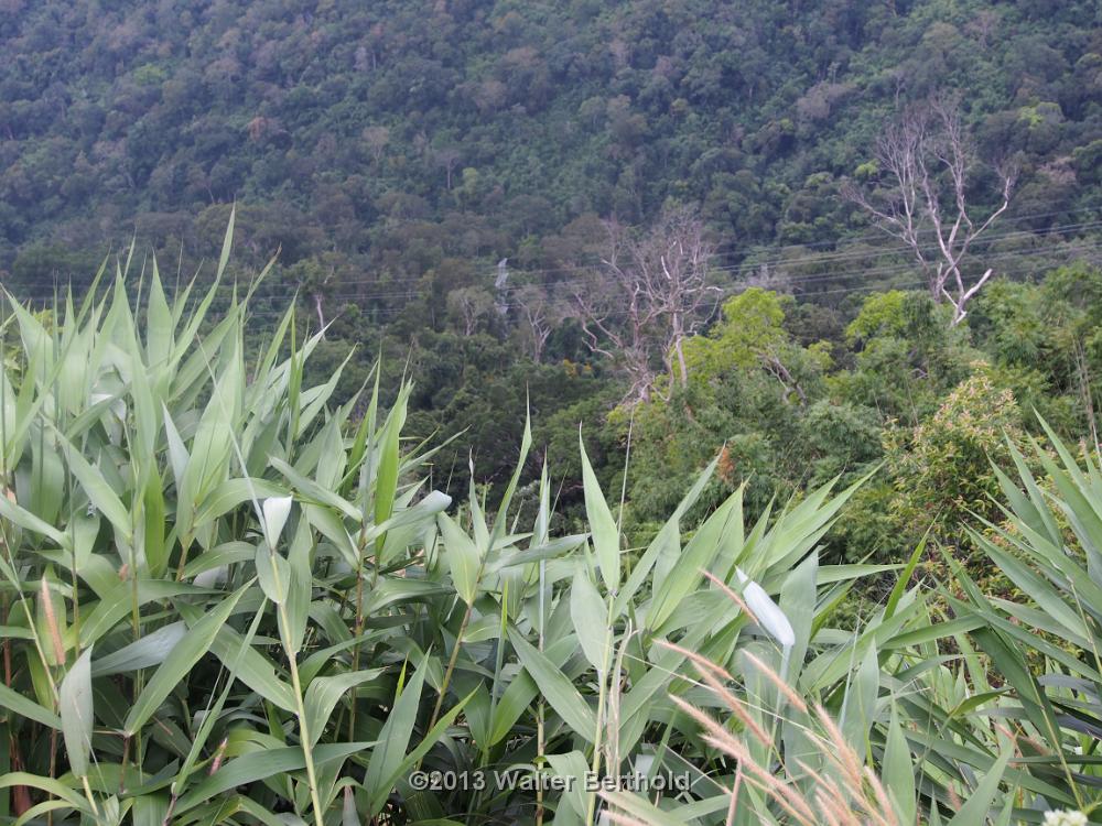 Vietnam 2013 0882