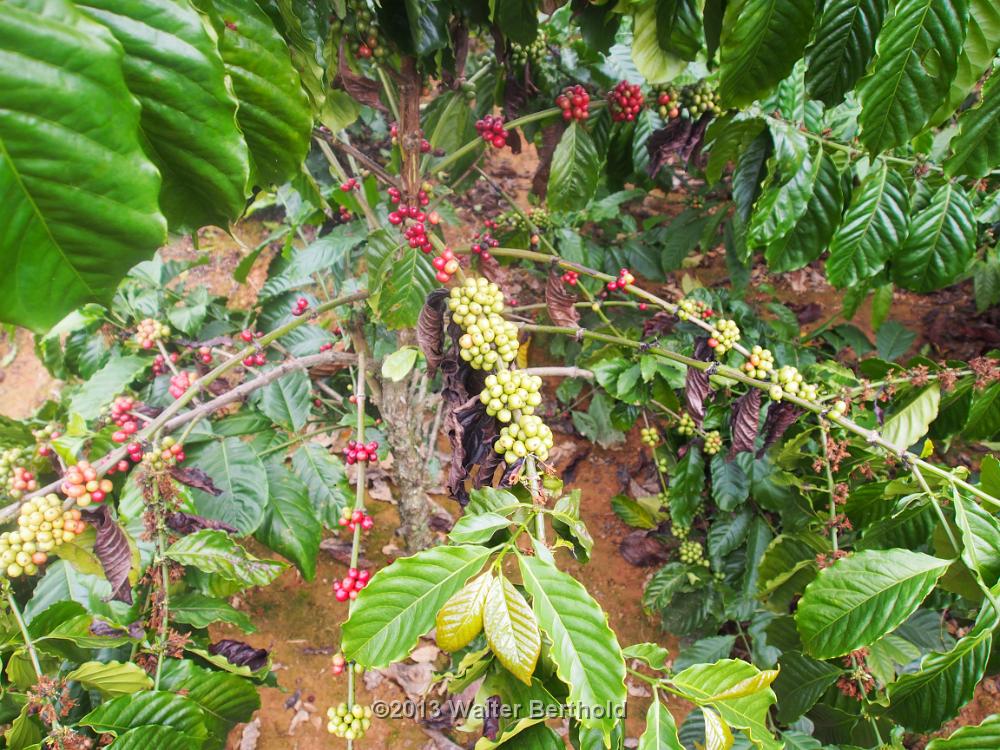 Vietnam 2013 0888