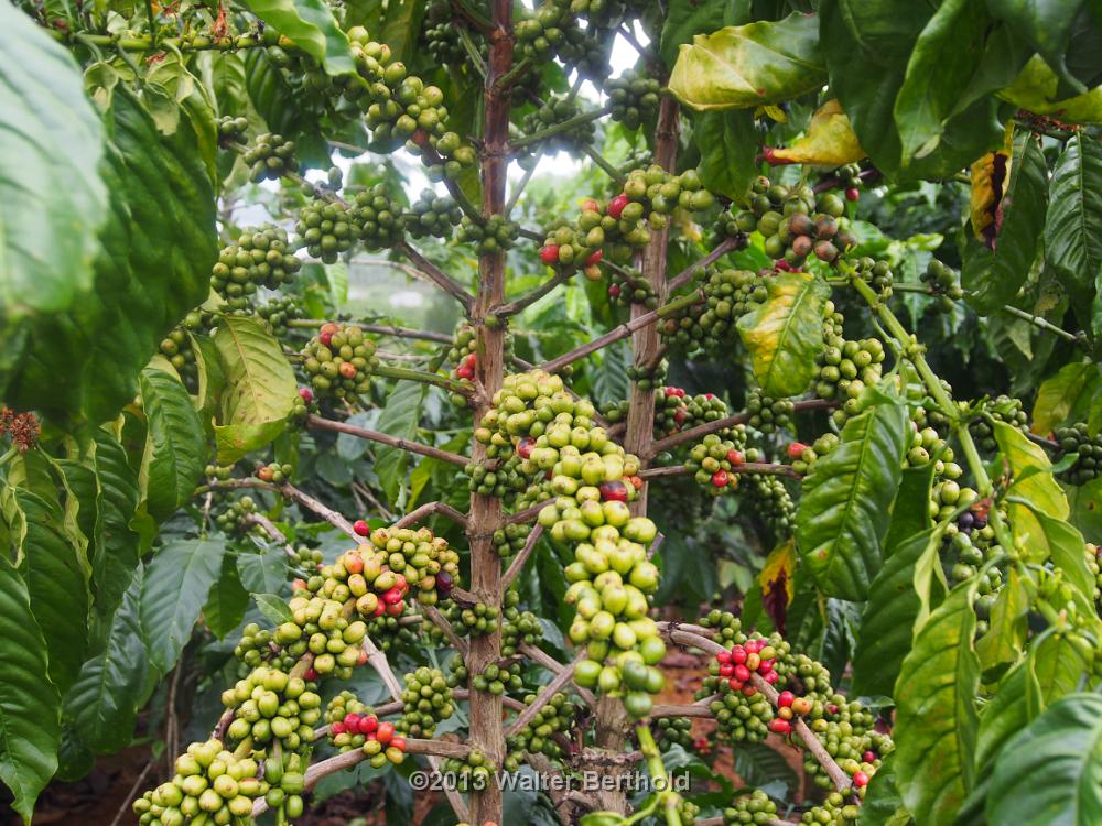 Vietnam 2013 0891
