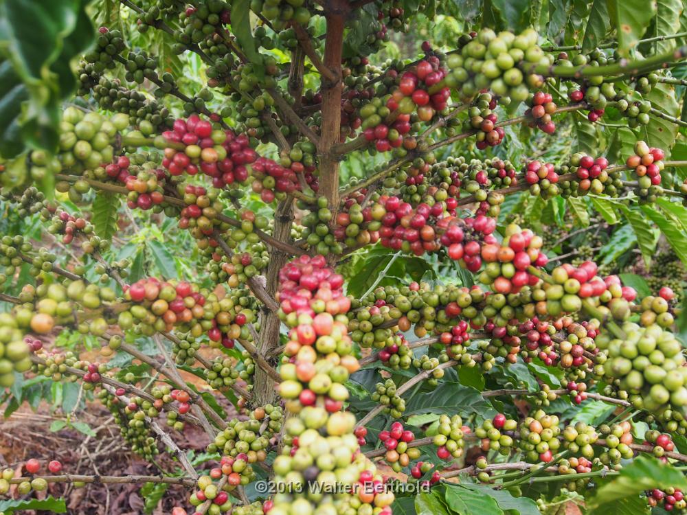 Vietnam 2013 0892