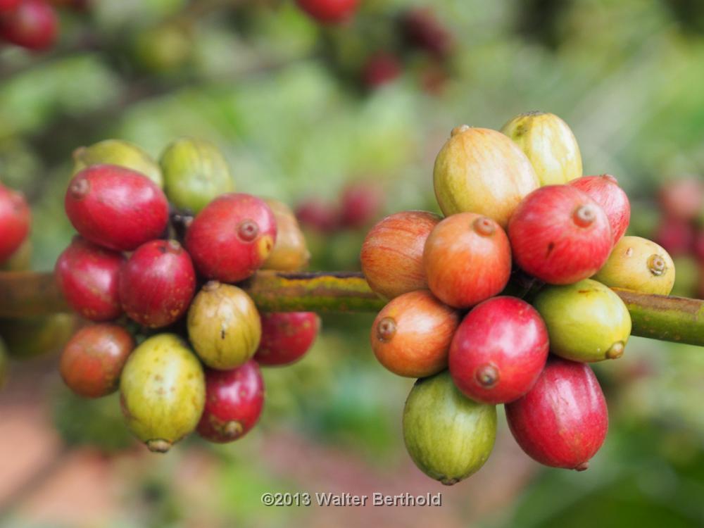 Vietnam 2013 0894