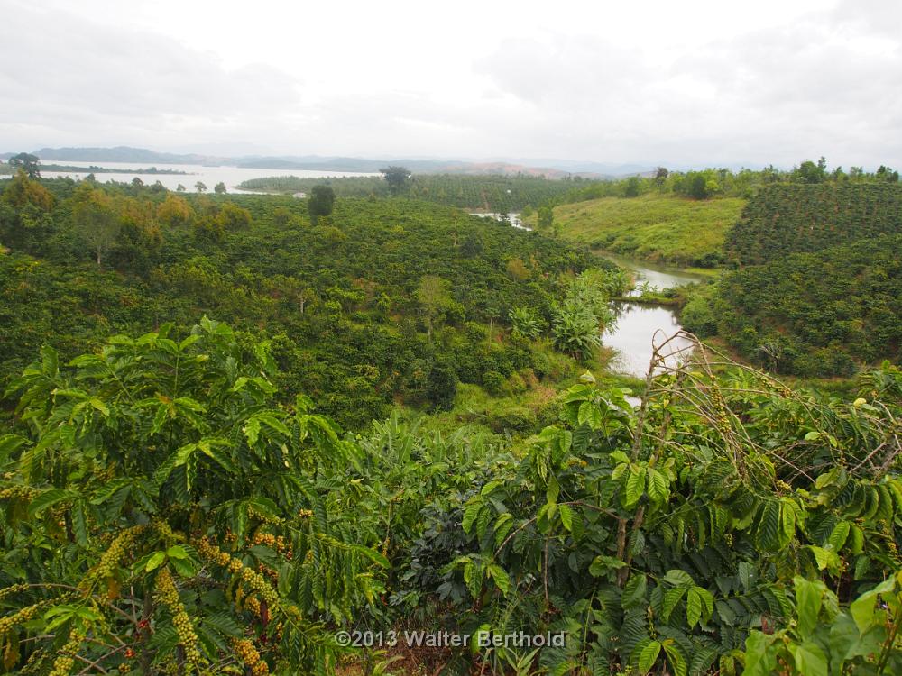 Vietnam 2013 0896