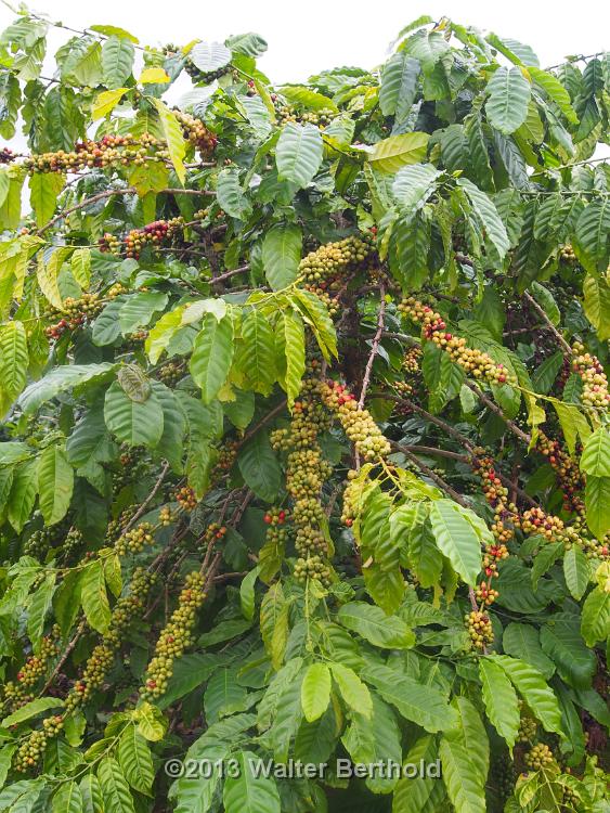 Vietnam 2013 0898