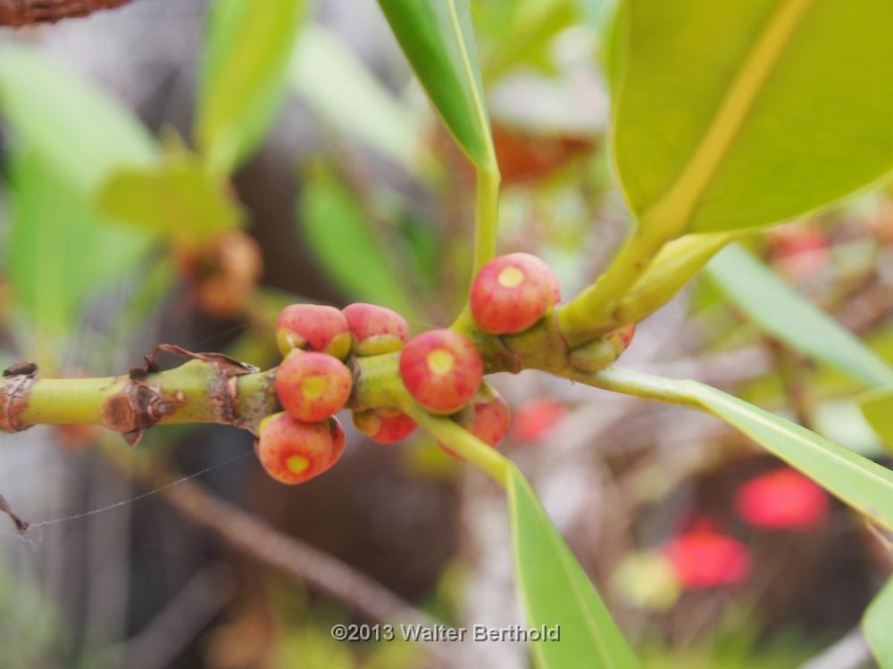 Vietnam 2013 0950