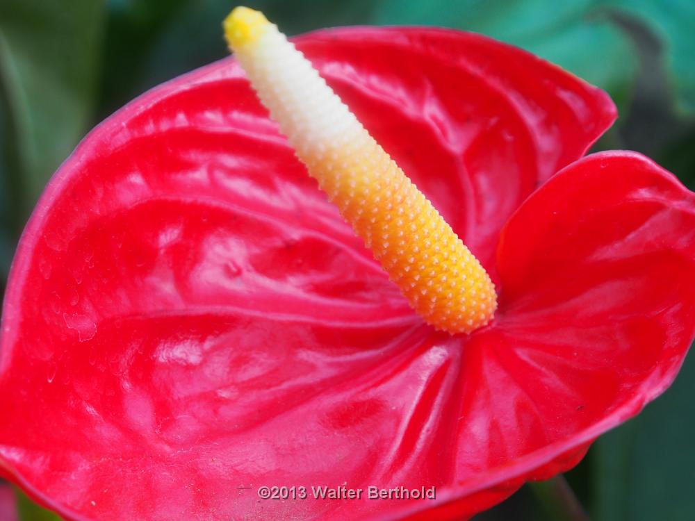 Vietnam 2013 0973