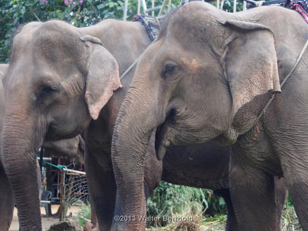 Vietnam 2013 0980