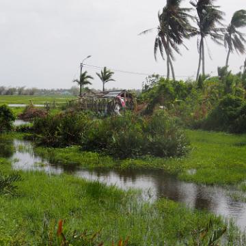 Vietnam
