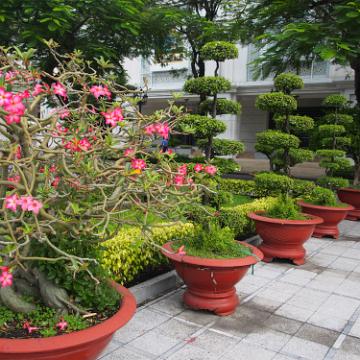 Vietnam