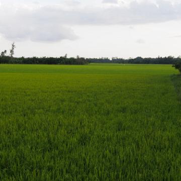 Vietnam 2013 0524