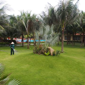 Vietnam