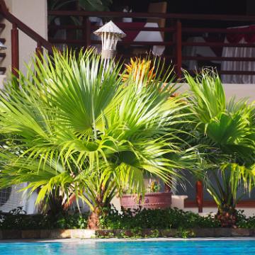 Vietnam 2013 0780