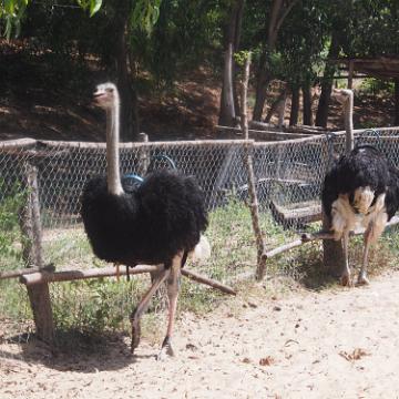 Vietnam 2013 0854