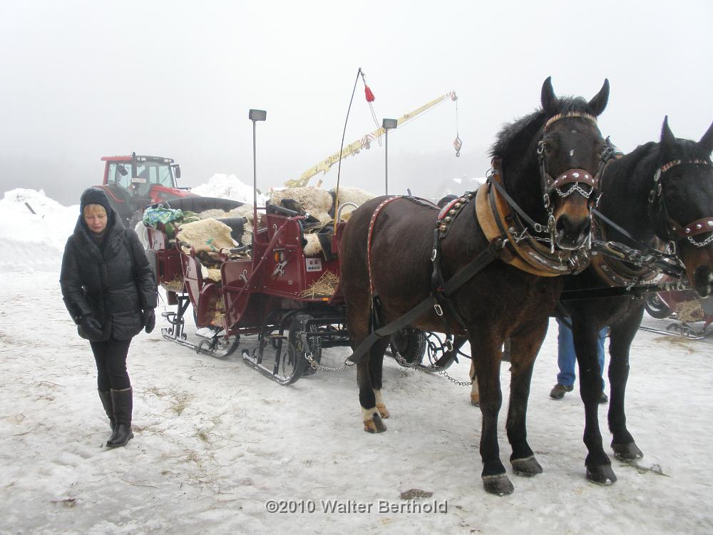 Vogtland 2010 012