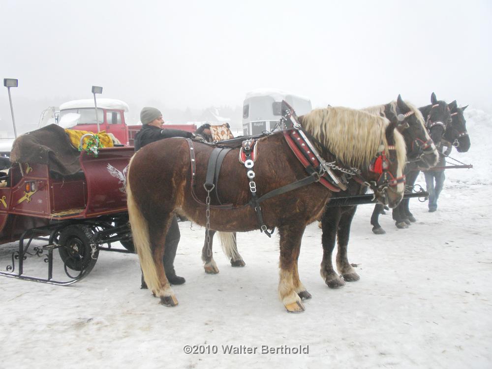 Vogtland 2010 014